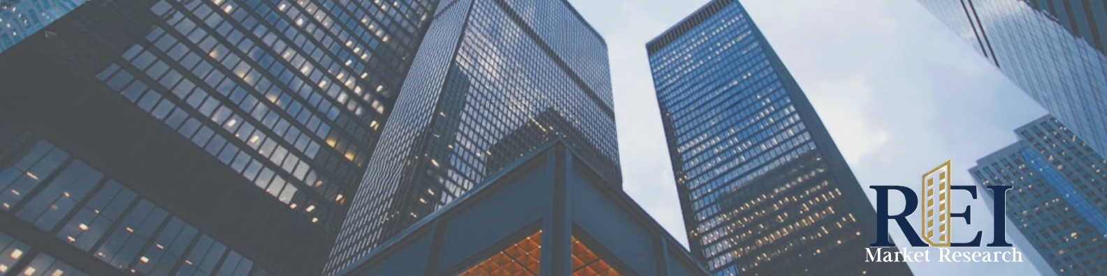 REI Market Research banner